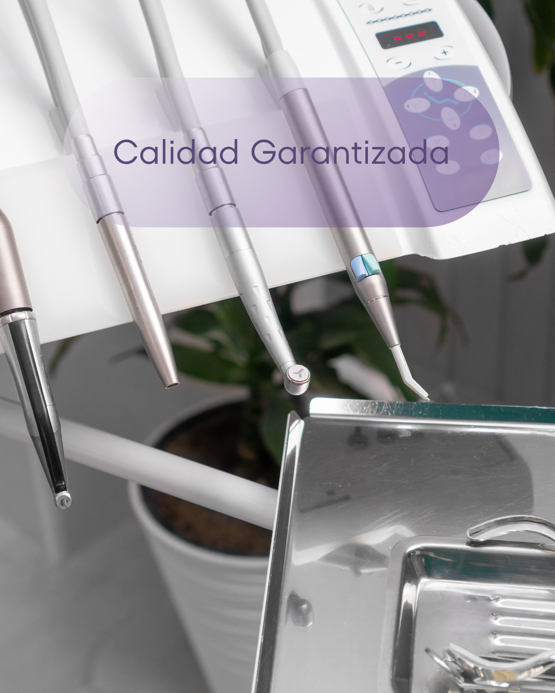 Calidad Garantizada ANELSAM