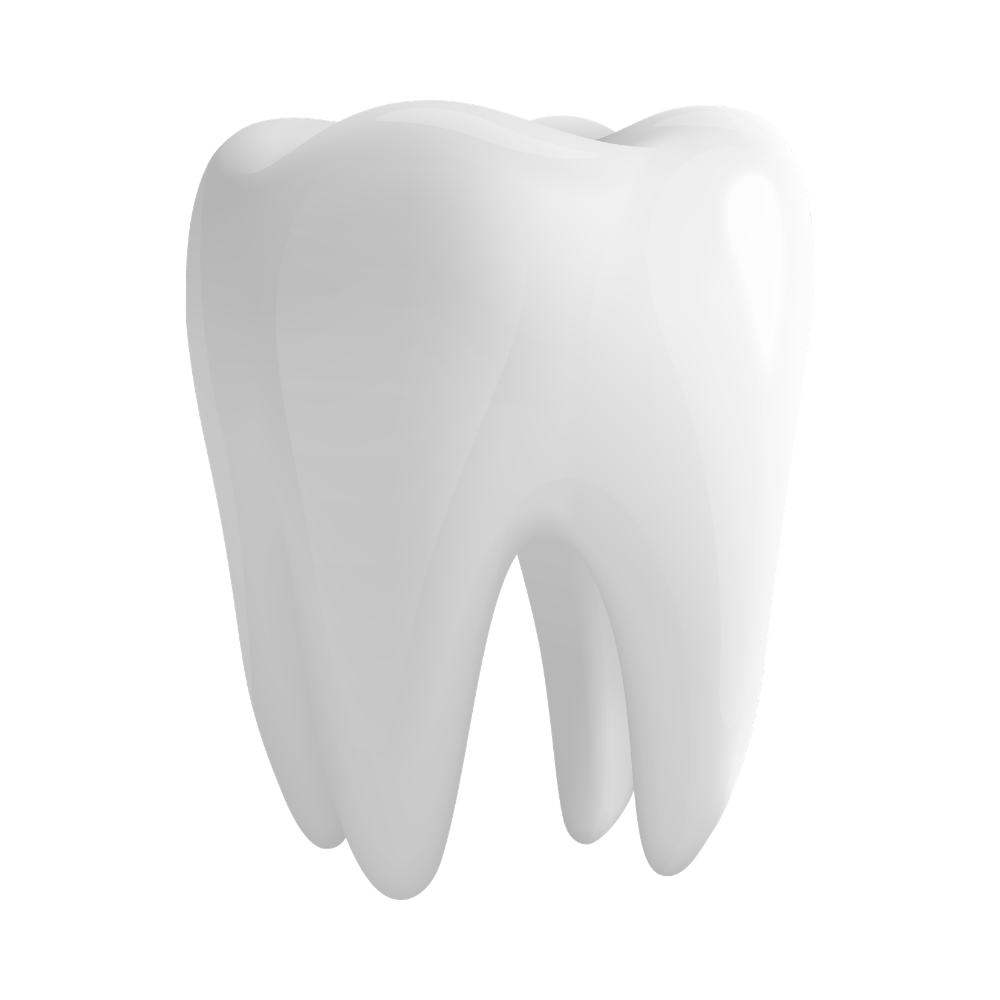 Refacciones dentales ANELSAM